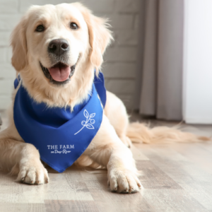 The Farm Sample Blue Pet Bandana