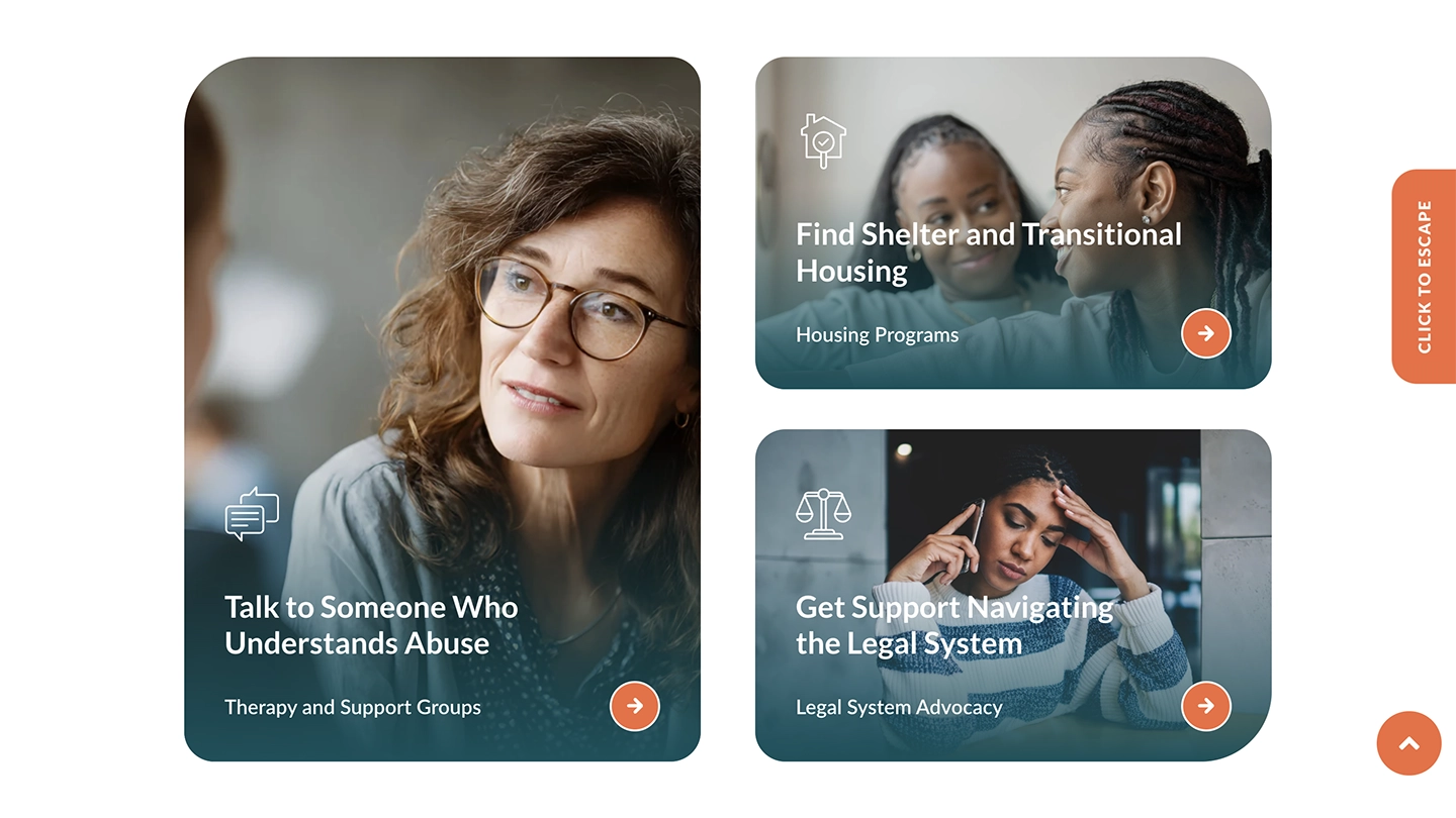 CenterforDomesticPeace-Programs